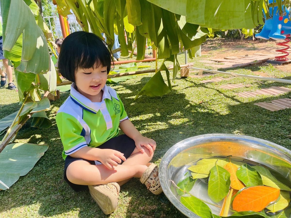 Ảnh hoạt động