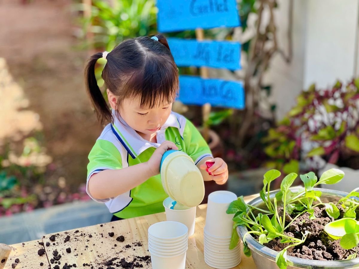 Ảnh hoạt động