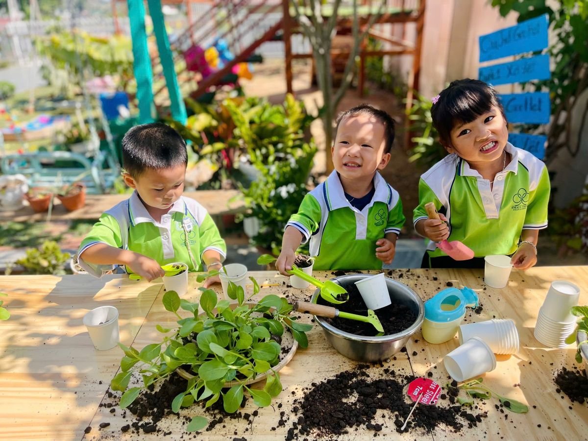 Ảnh hoạt động
