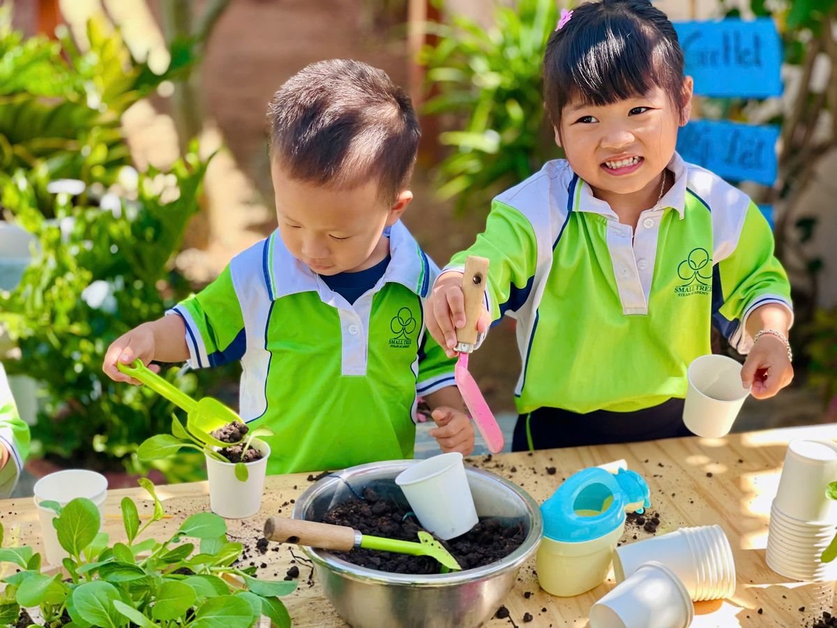 Ảnh hoạt động