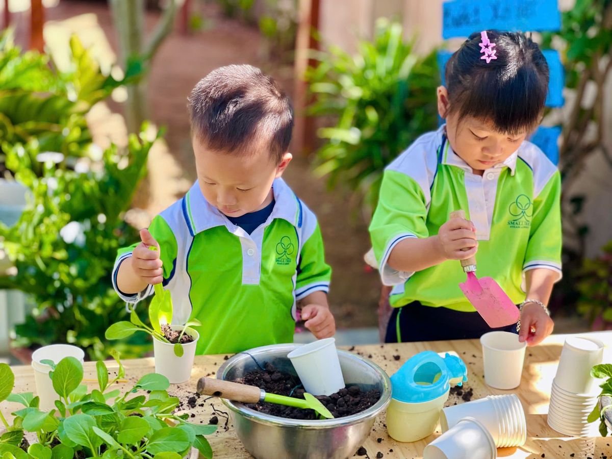 Ảnh hoạt động