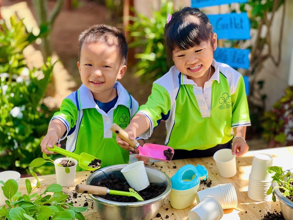 Ảnh hoạt động