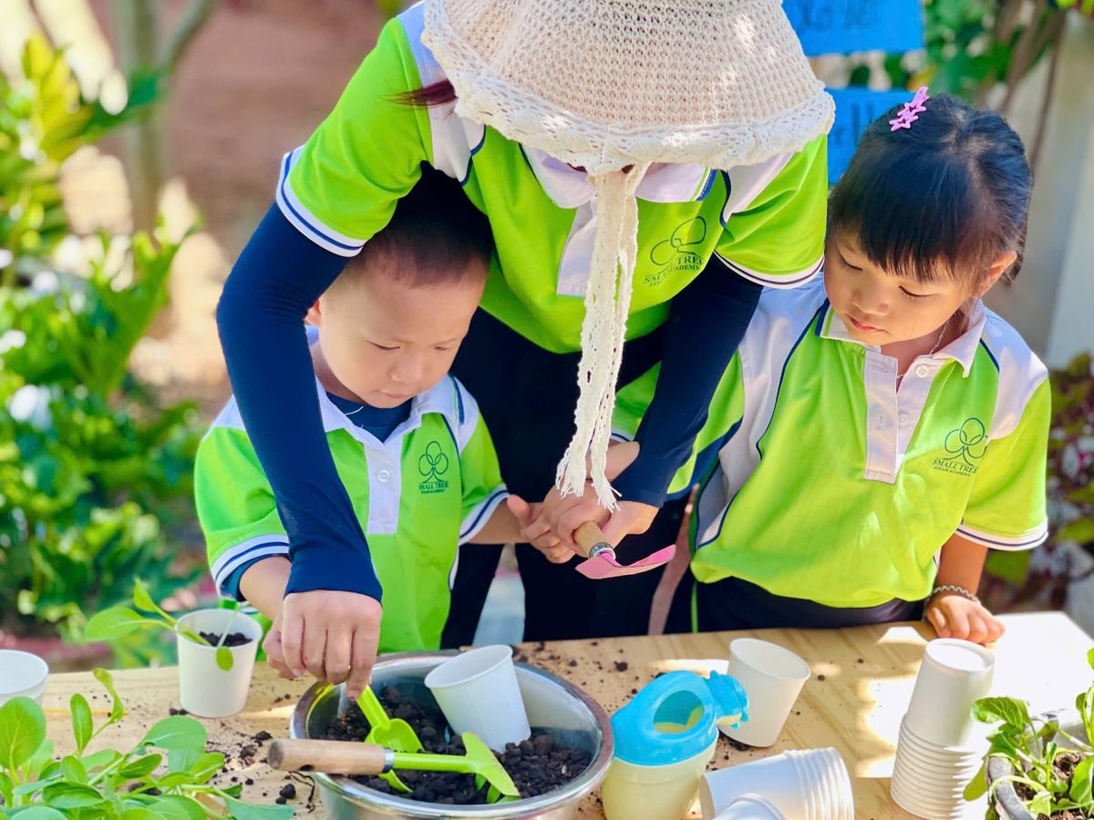 Ảnh hoạt động