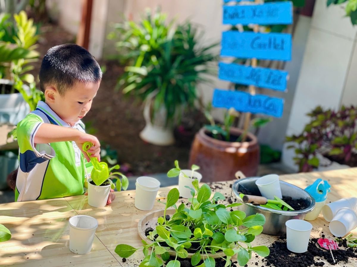 Ảnh hoạt động