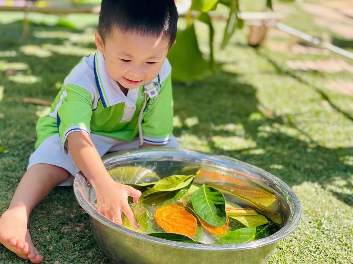 Ảnh hoạt động