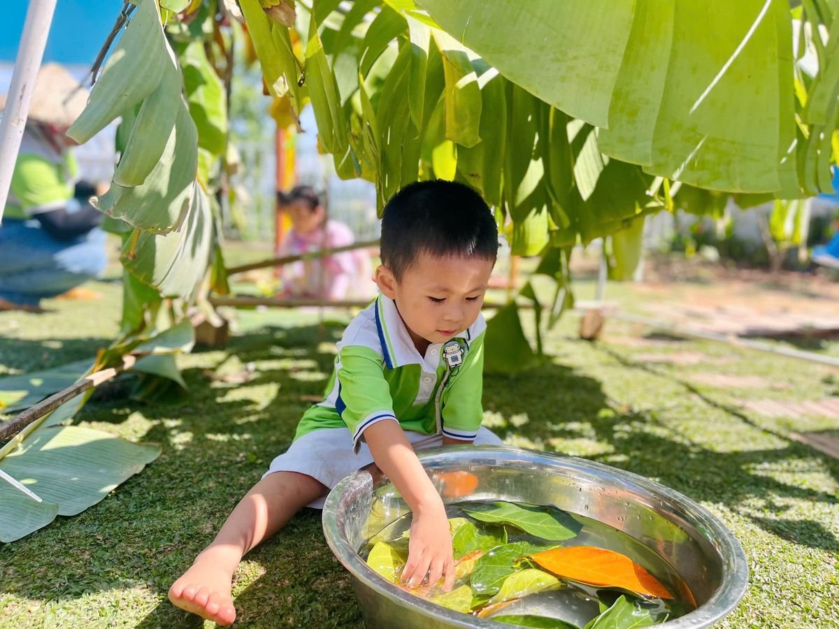 Ảnh hoạt động