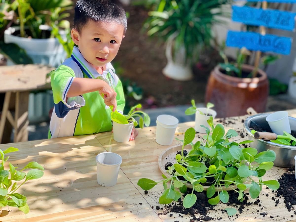 Ảnh hoạt động