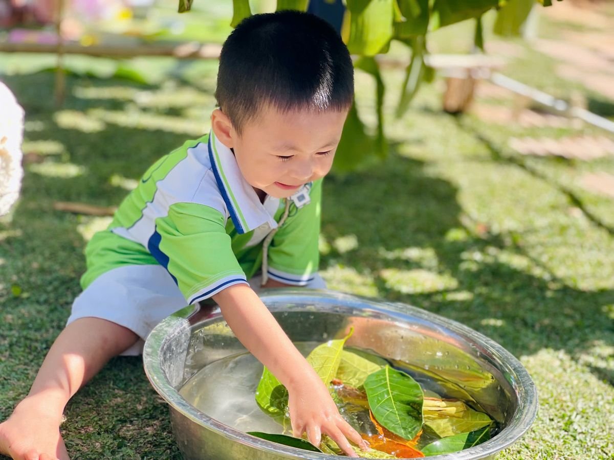Ảnh hoạt động