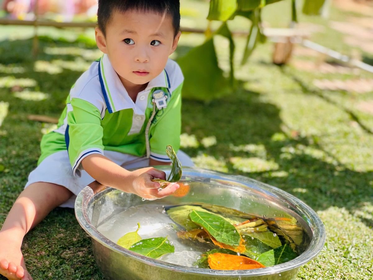 Ảnh hoạt động