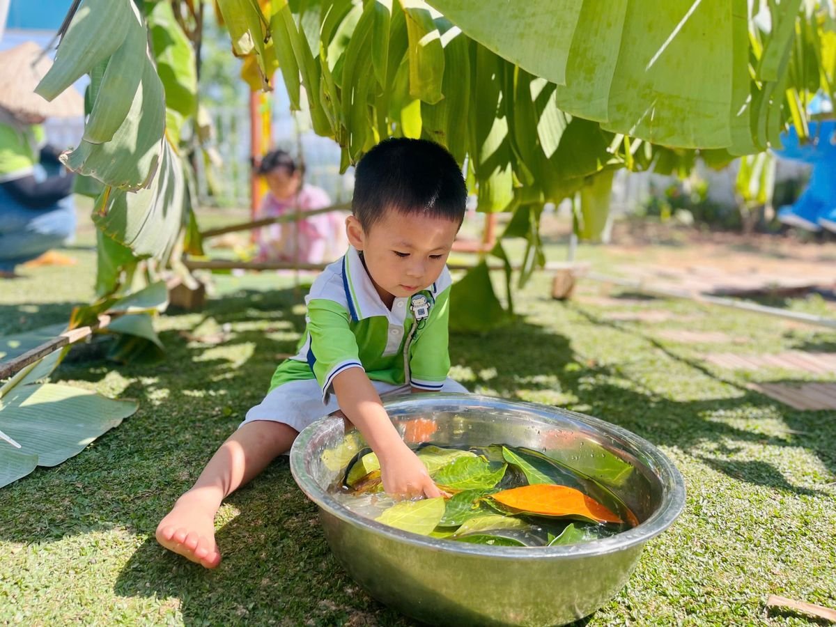 Ảnh hoạt động