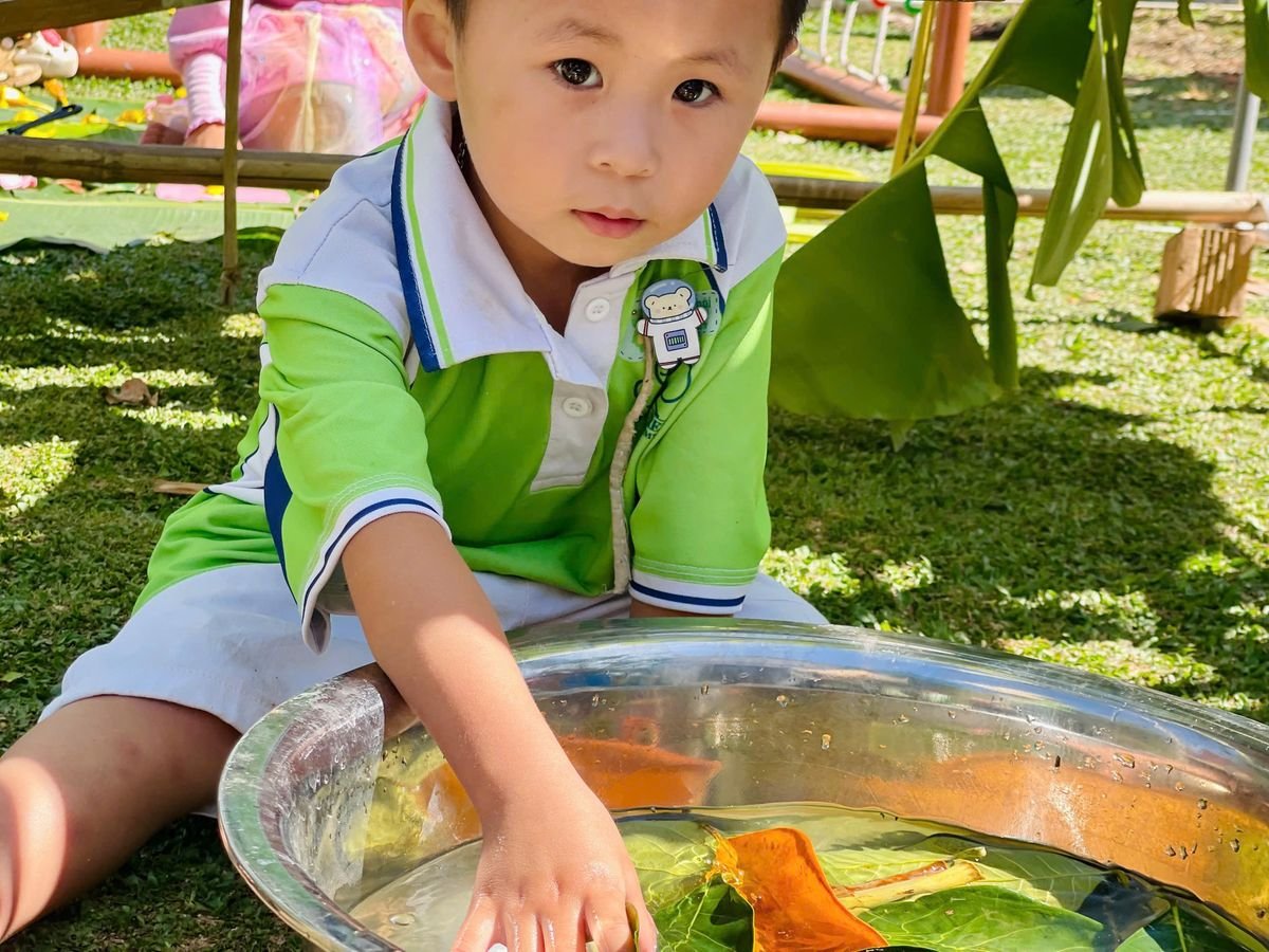 Ảnh hoạt động