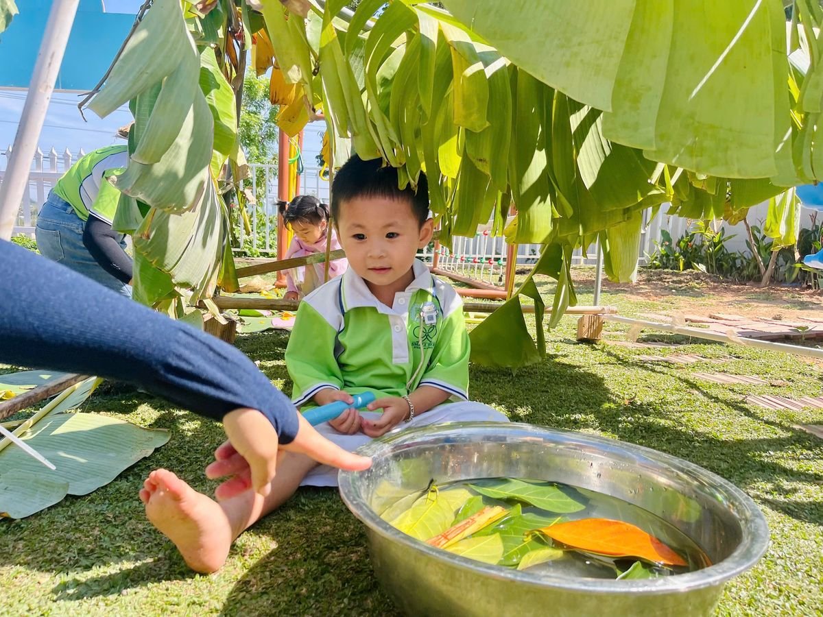 Ảnh hoạt động