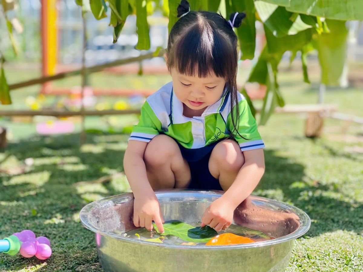 Ảnh hoạt động