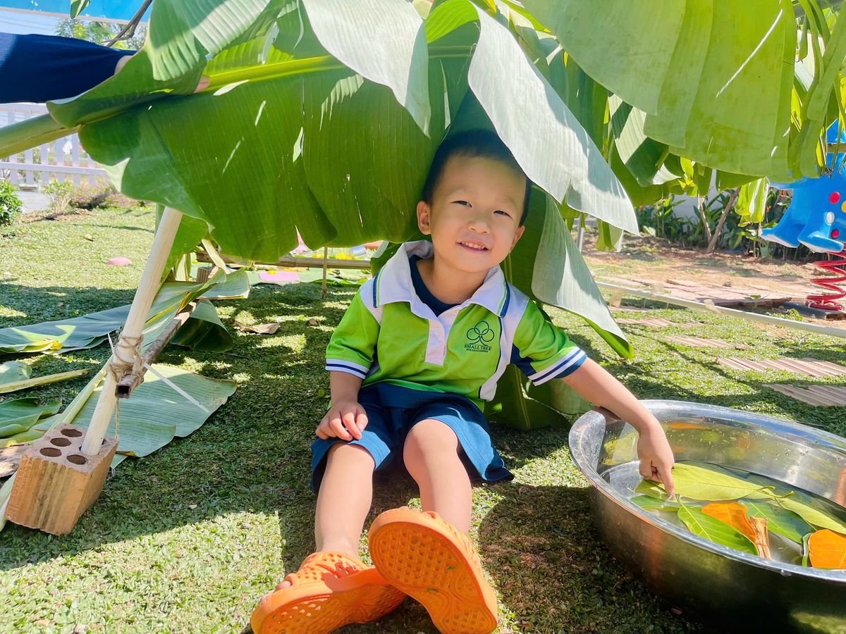 Ảnh hoạt động