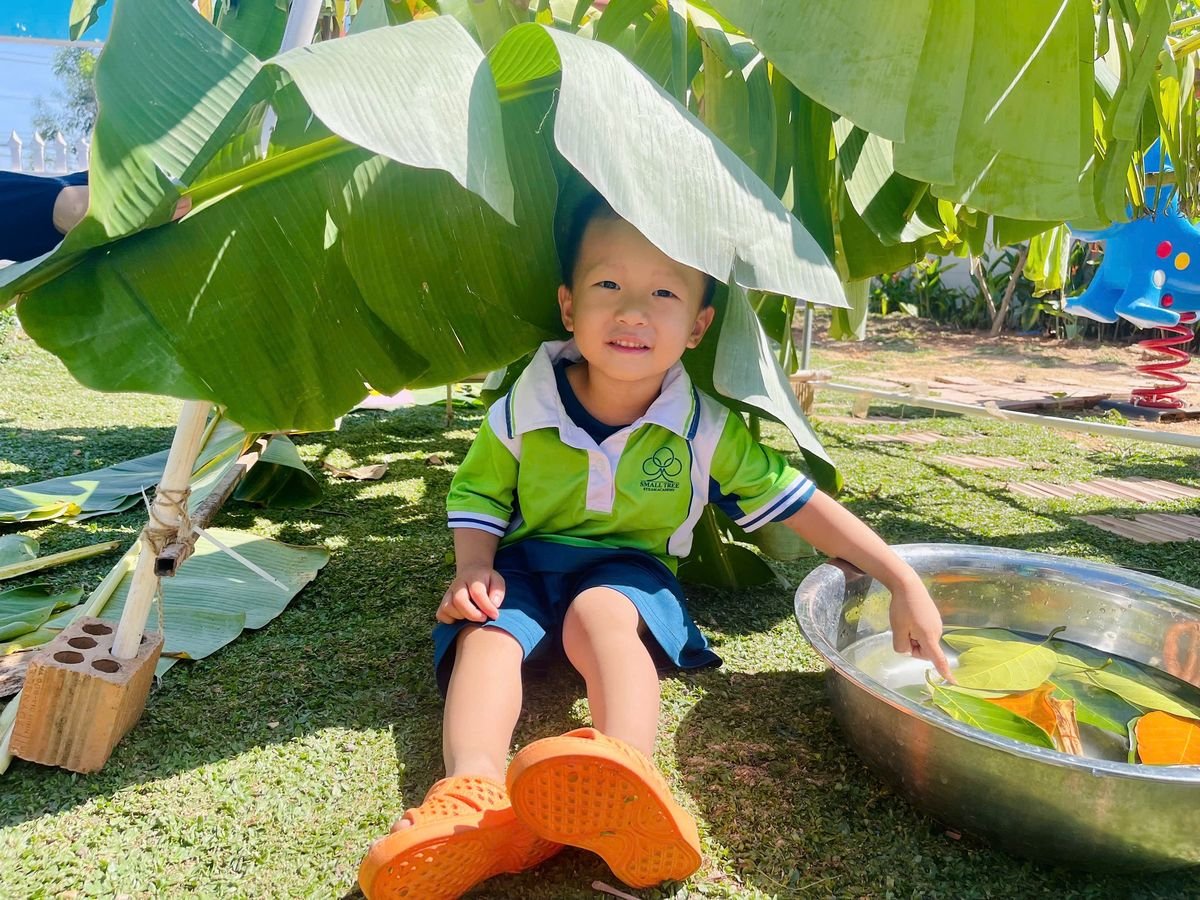 Ảnh hoạt động