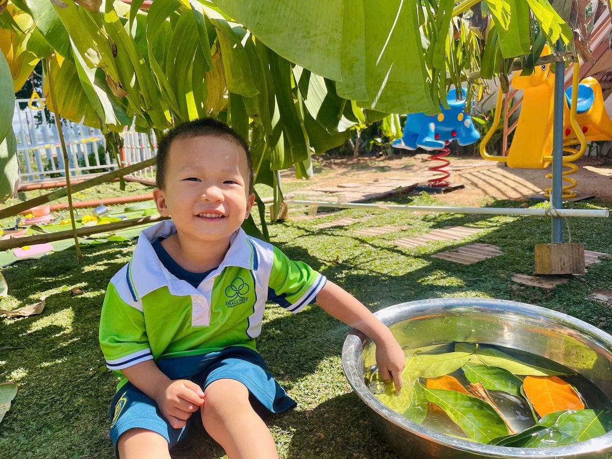 Ảnh hoạt động