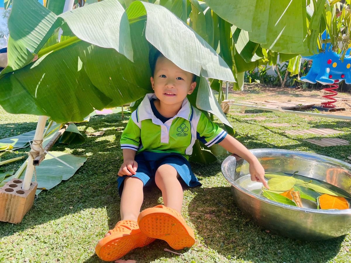 Ảnh hoạt động
