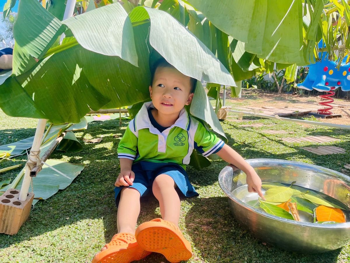 Ảnh hoạt động