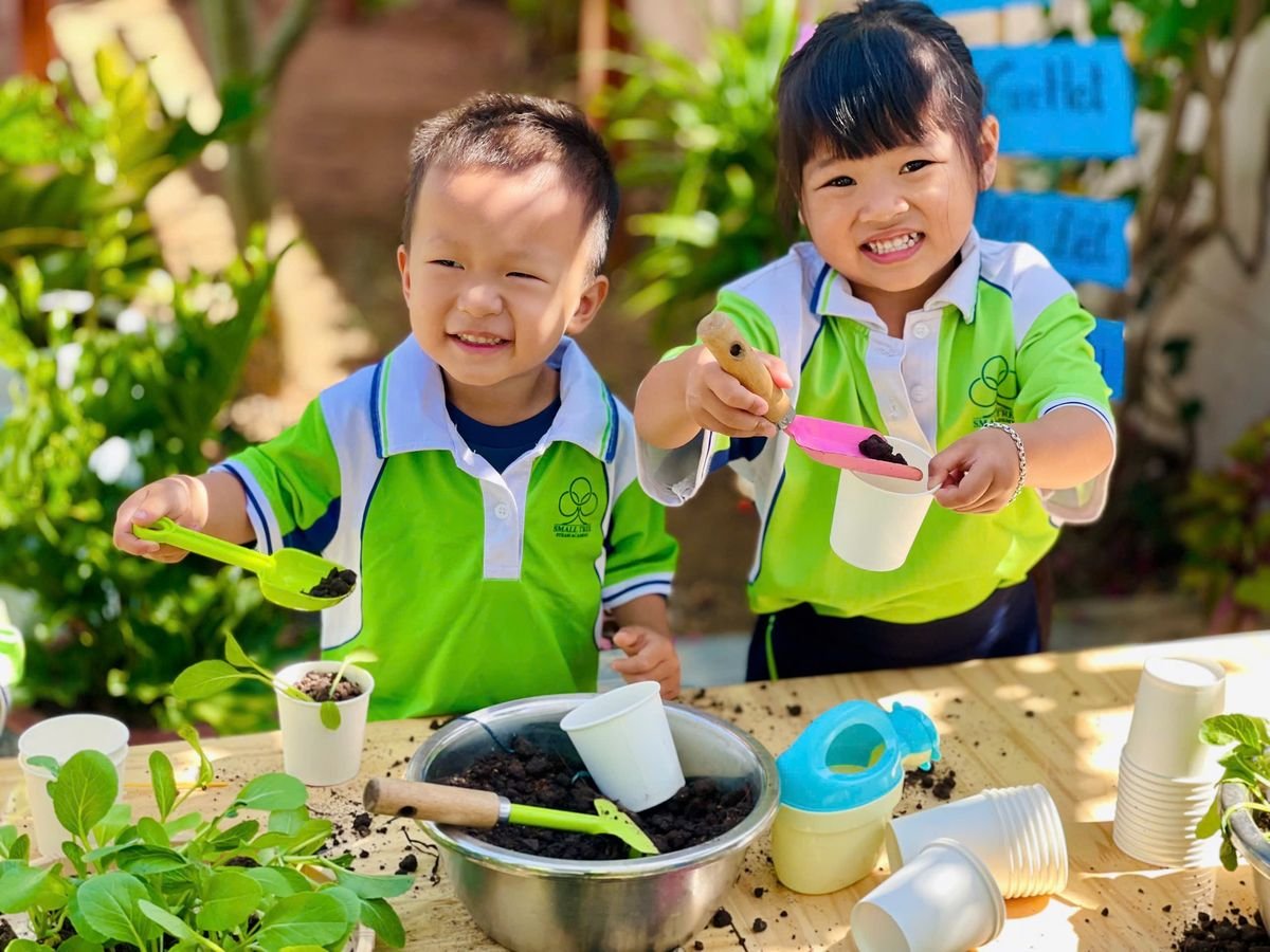 Ảnh hoạt động