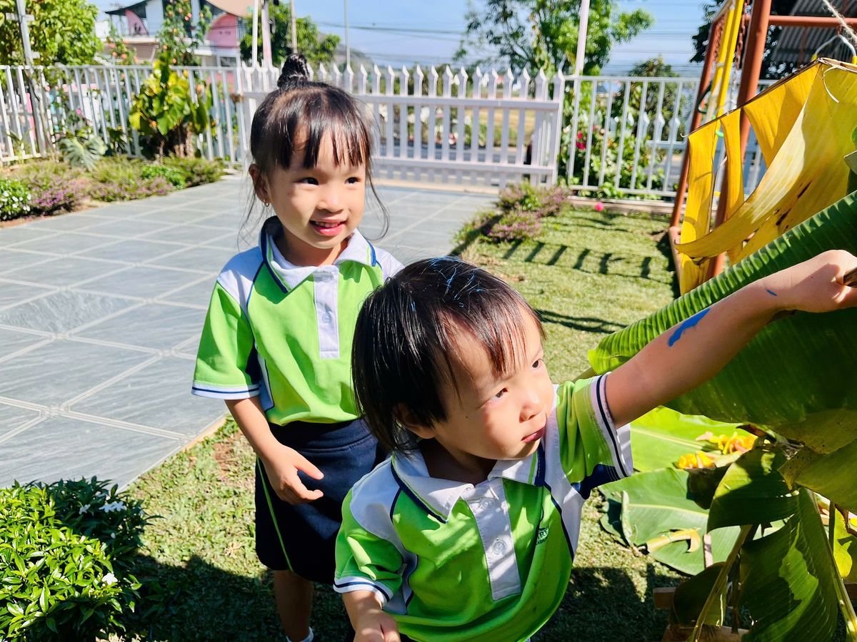 Ảnh hoạt động