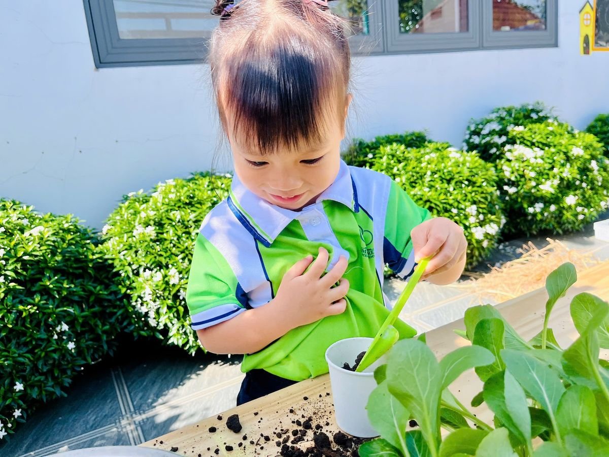 Ảnh hoạt động