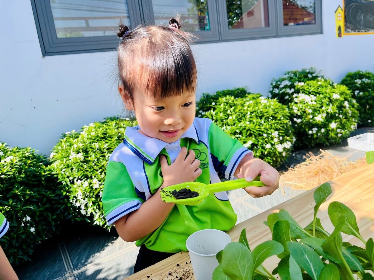 Ảnh hoạt động