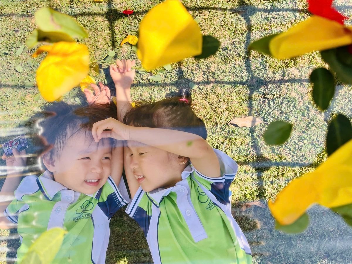 Ảnh hoạt động