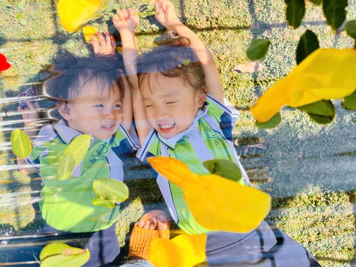Ảnh hoạt động