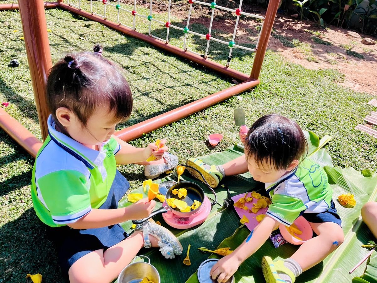 Ảnh hoạt động