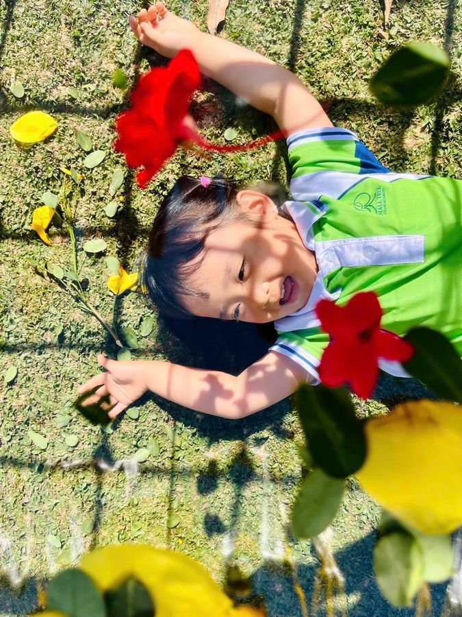 Ảnh hoạt động