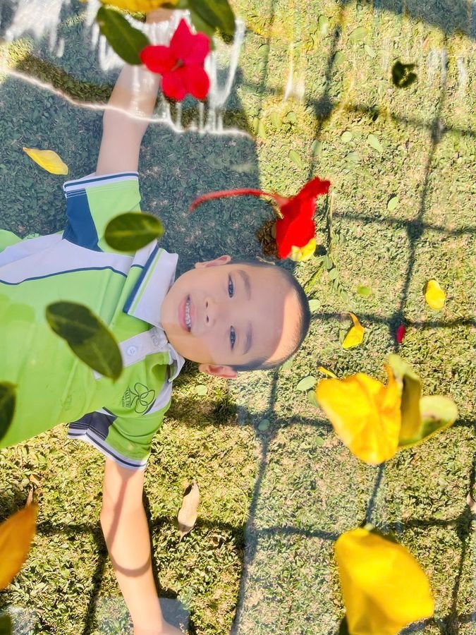 Ảnh hoạt động