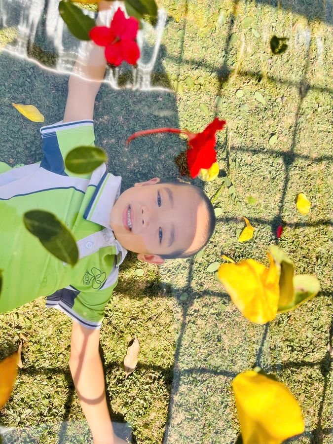 Ảnh hoạt động