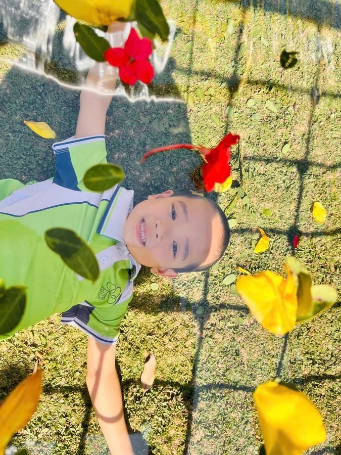 Ảnh hoạt động
