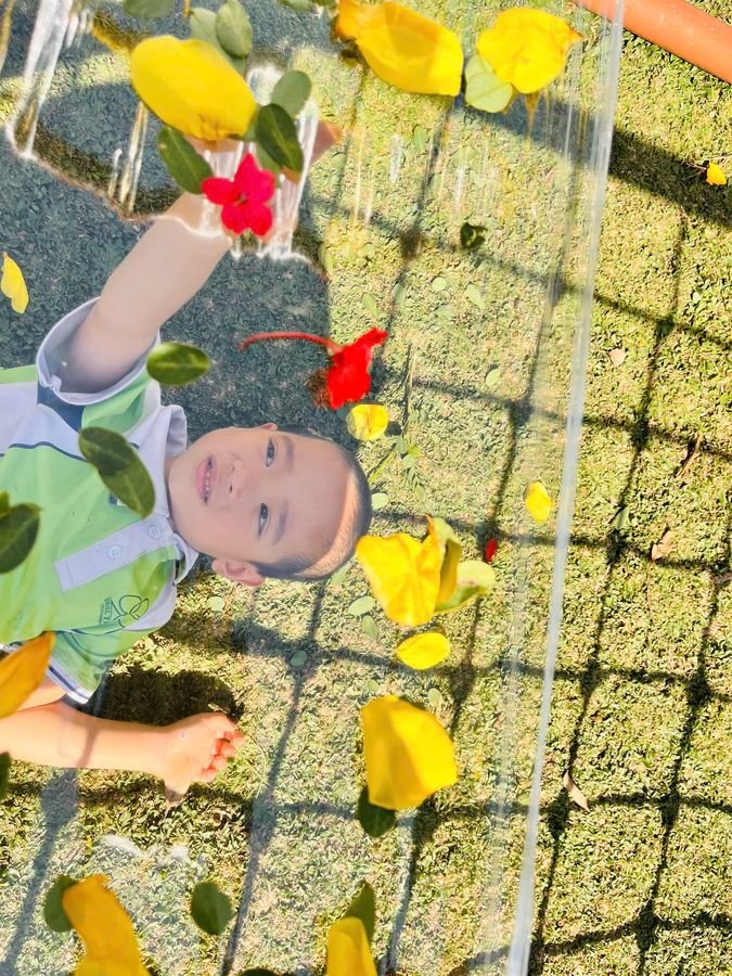 Ảnh hoạt động
