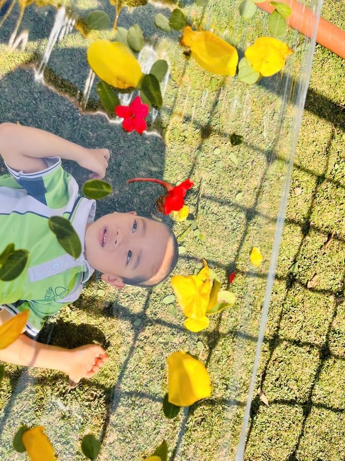 Ảnh hoạt động