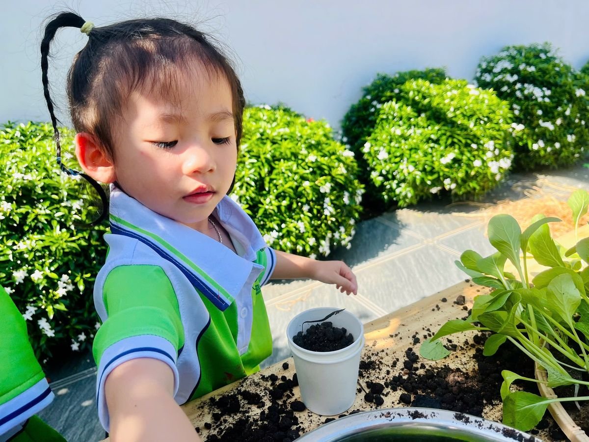 Ảnh hoạt động