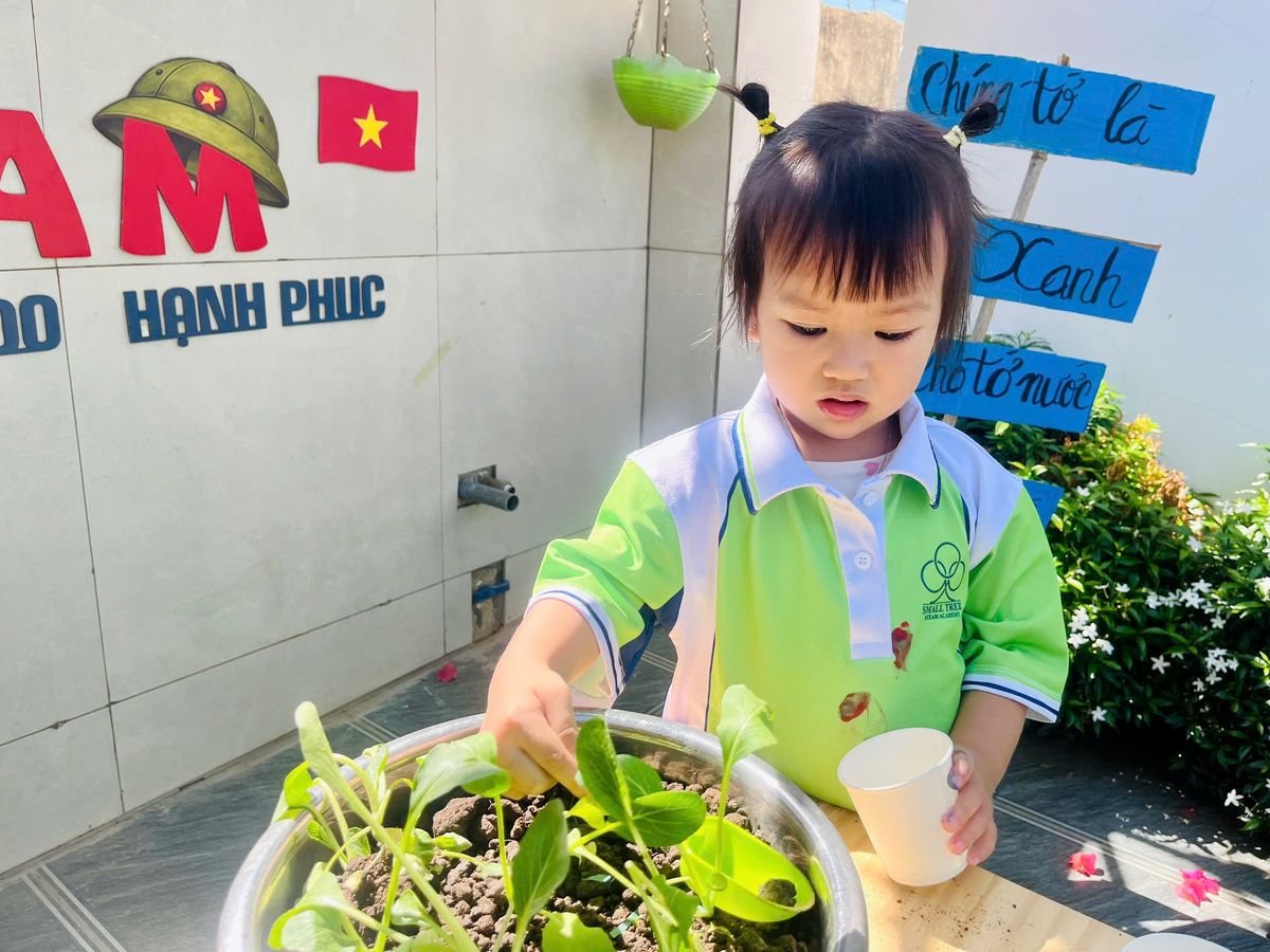 Ảnh hoạt động