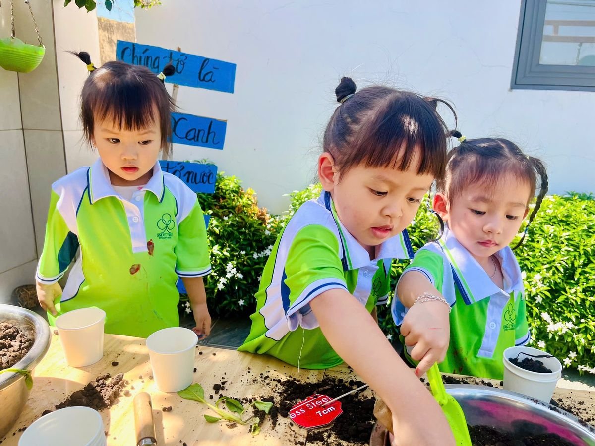 Ảnh hoạt động