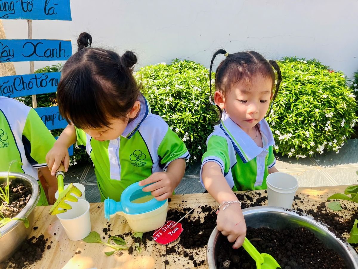 Ảnh hoạt động