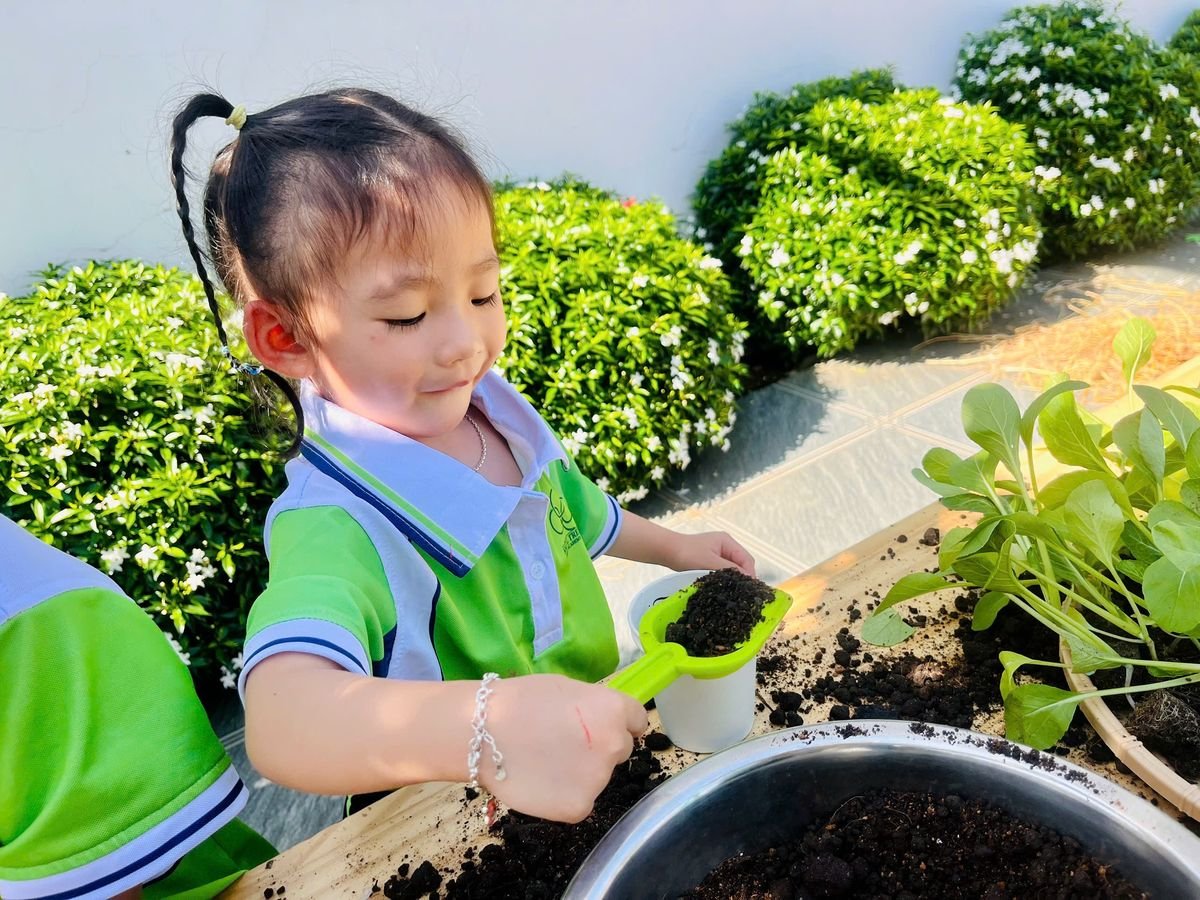 Ảnh hoạt động