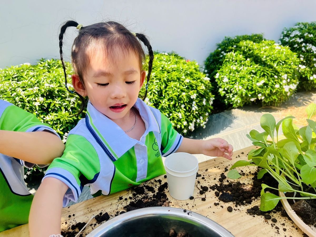 Ảnh hoạt động