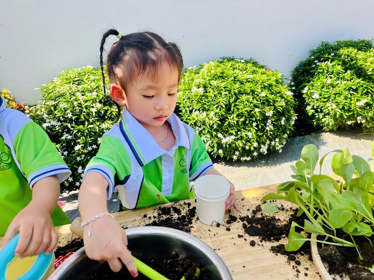 Ảnh hoạt động
