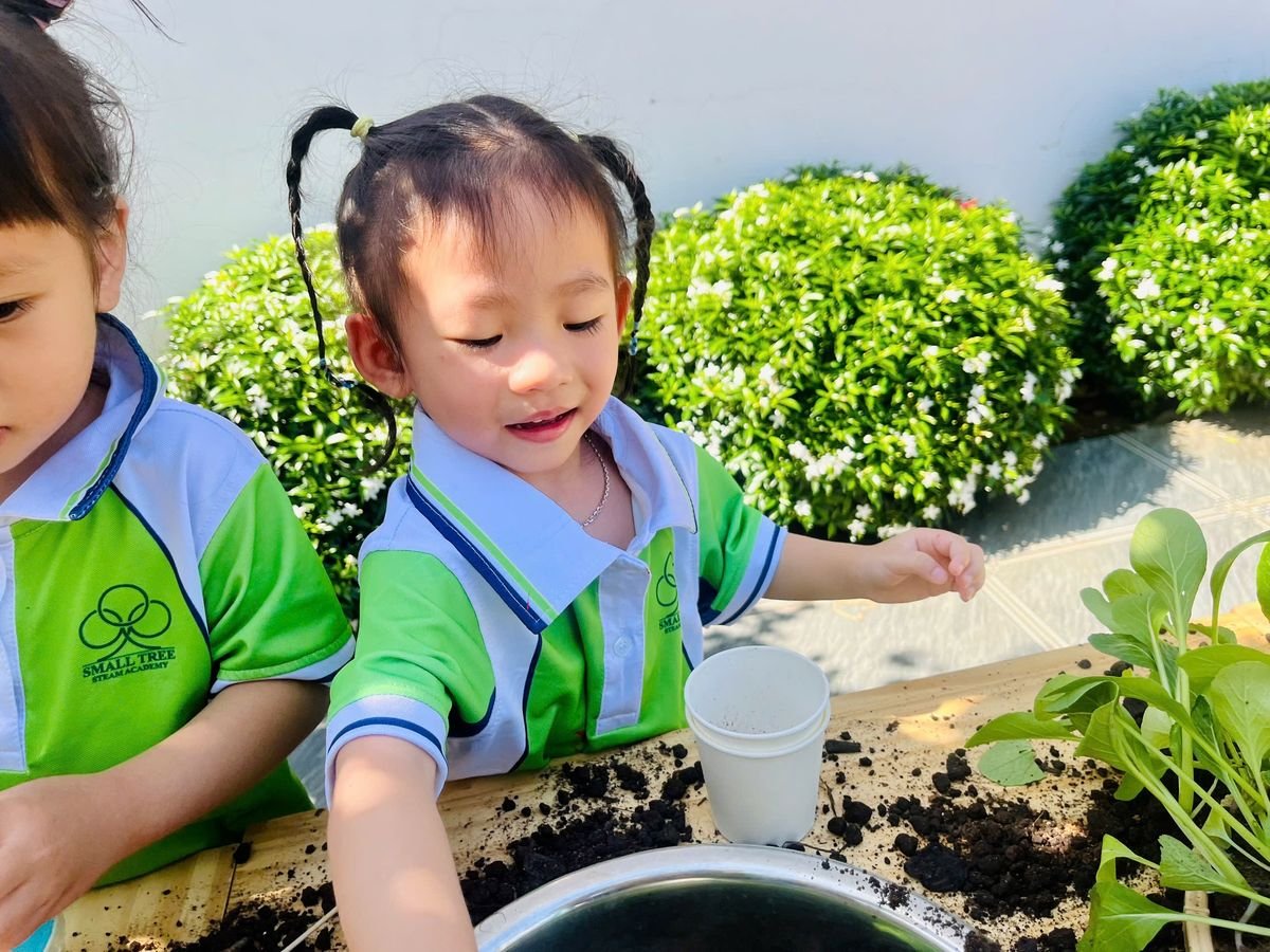 Ảnh hoạt động