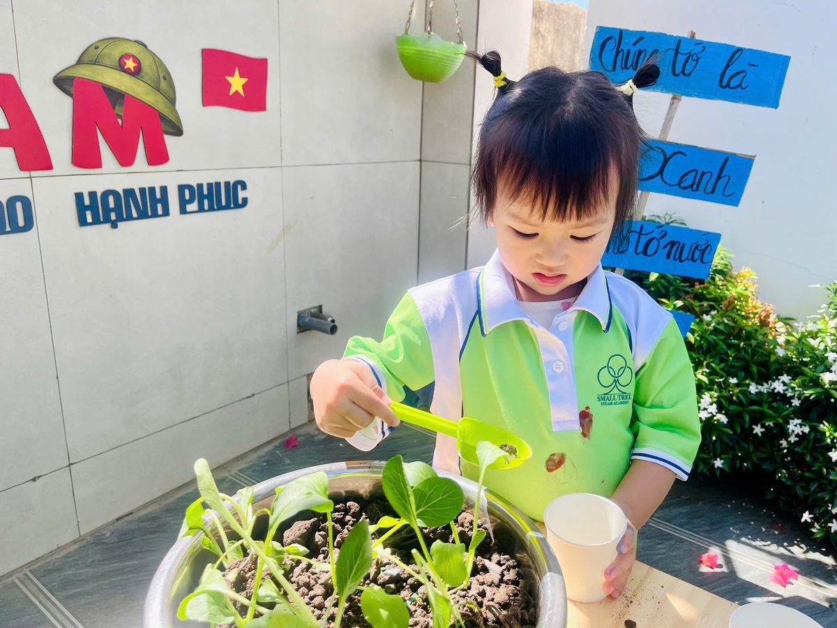 Ảnh hoạt động
