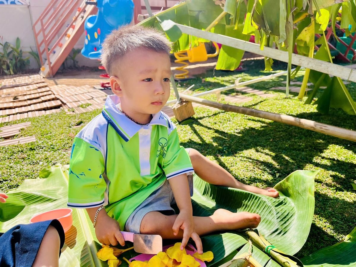 Ảnh hoạt động