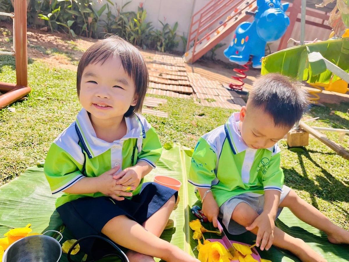 Ảnh hoạt động
