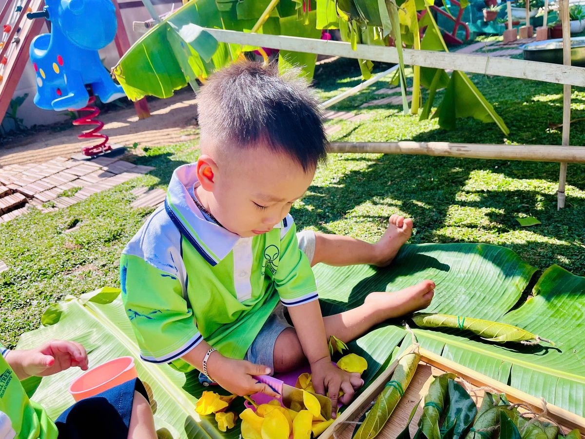 Ảnh hoạt động