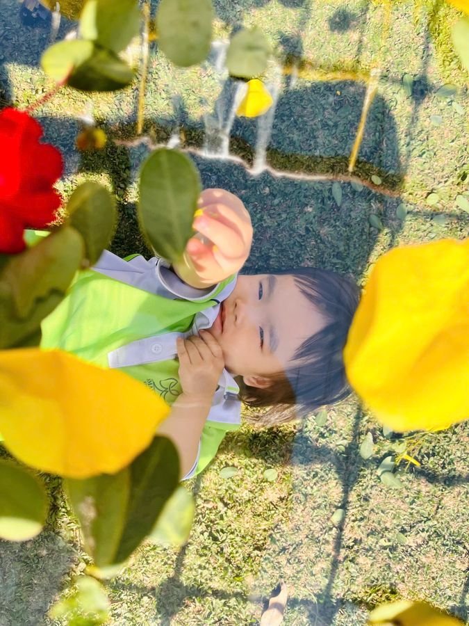 Ảnh hoạt động