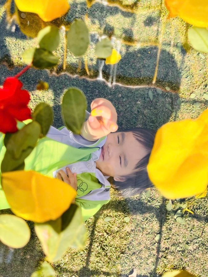 Ảnh hoạt động