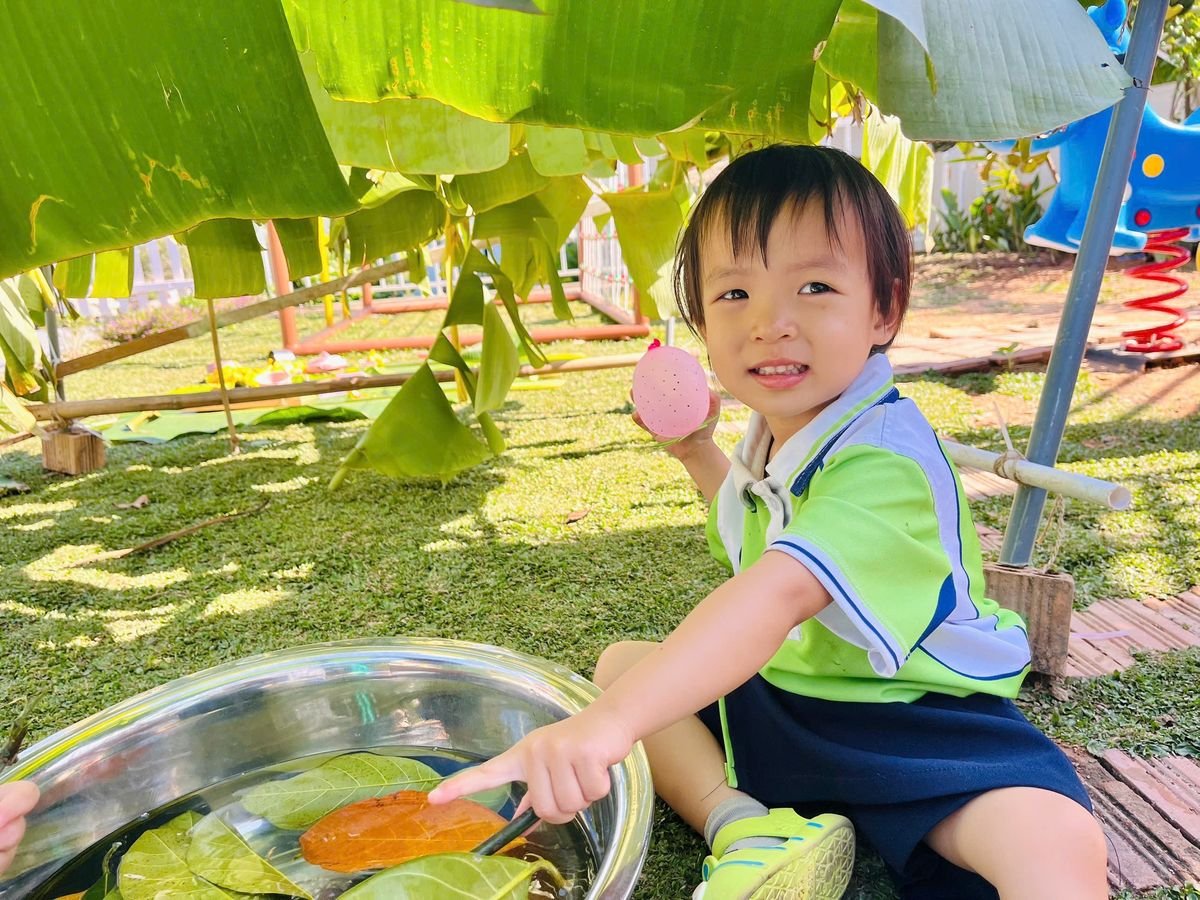 Ảnh hoạt động